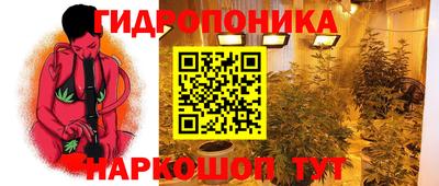 тгк Берёзовский